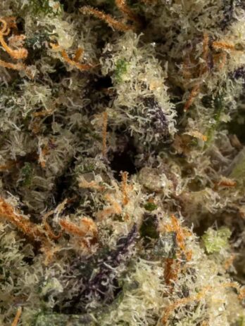 Triple Burger 26.25%